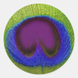 Adesivo Redondo Vinhetas/Vedantes de Pavão Azul Verde Púrpura