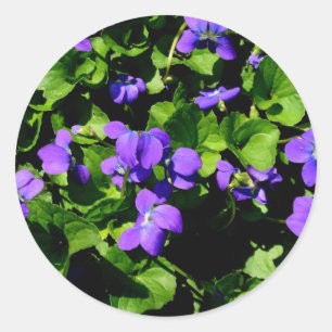 Adesivo Redondo Vinhetas Violetas