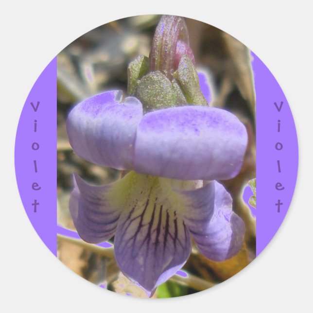 Adesivo Redondo Vinhetas Violetas #1 (Frente)