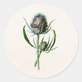 Adesivo Redondo Vintage 1902 Old Scottish Thistle Wild Flower