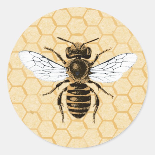 Adesivo Redondo Vintage Bee em Honeycomb (Frente)