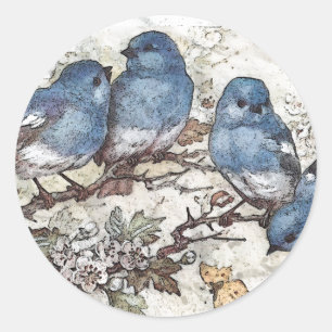 Adesivo Redondo Vintage bluebird ilustra aves bonitinhas natureza