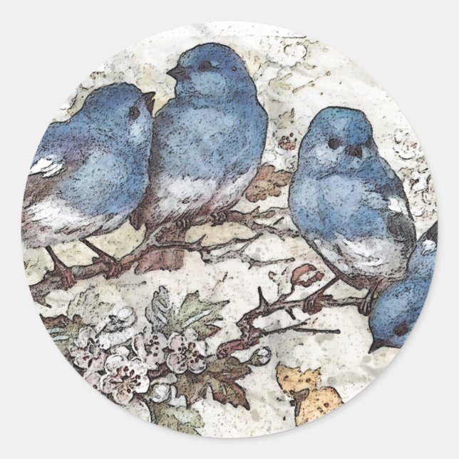 Adesivo Redondo Vintage bluebird ilustra aves bonitinhas natureza (Frente)