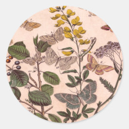 Adesivo Redondo Vintage Botânica Floral Ilustração de Flores Selva