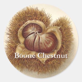 Adesivo Redondo Vintage Chestnut Stickers