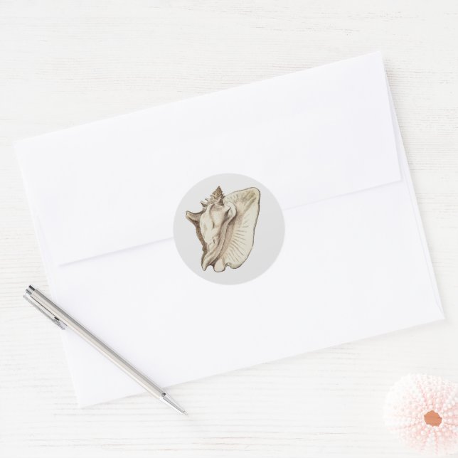Adesivo Redondo vintage conch sepia classic round sticker (Envelope)