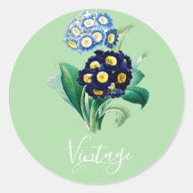 Vintage Cowslip Primrose botânica