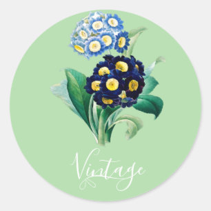 Adesivo Redondo Vintage Cowslip Primrose botânica