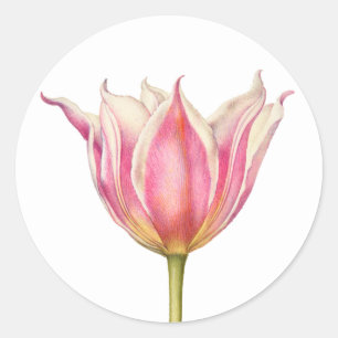 Adesivo Redondo Vintage Flor Tulip Round Stickers