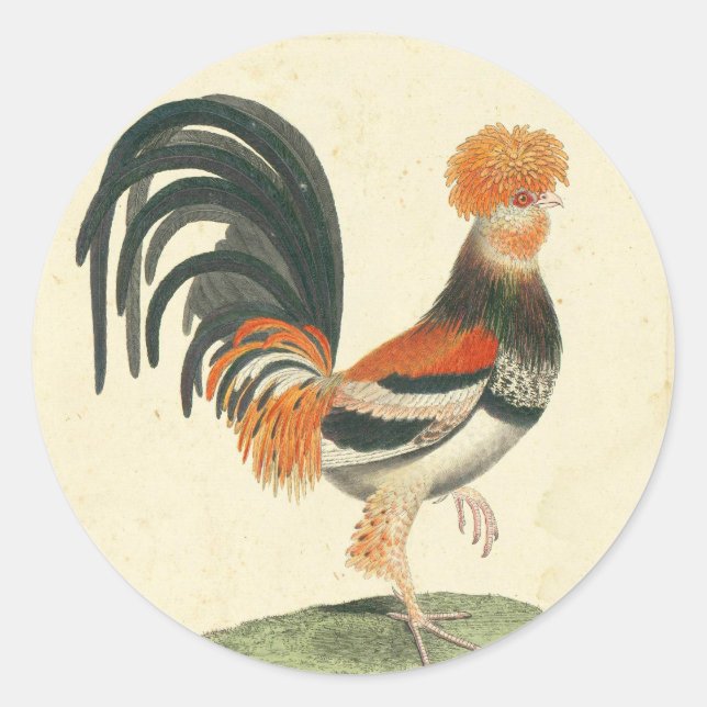 Adesivo Redondo Vintage French Rooster Impressão (Frente)