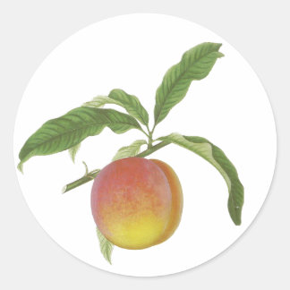 Adesivo Redondo Vintage Frutas