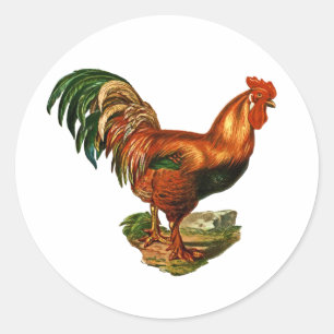 Adesivo Redondo Vintage Green Tail Feather Rooster Cockerel
