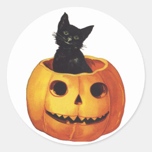 Adesivo Redondo Vintage Halloween, Gato Negro Bonito numa Abóbora