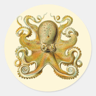 Adesivo Redondo Vintage Kraken, Octopus Gamochonia, Ernst Haeckel