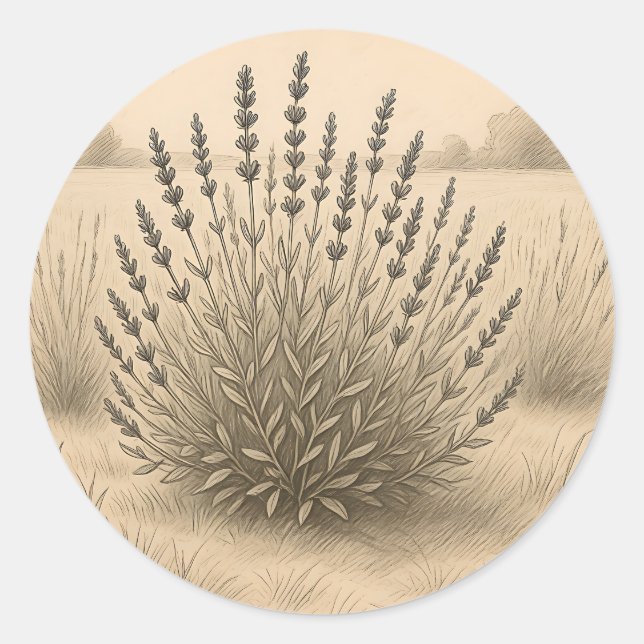 Adesivo Redondo Vintage Lavender Sketch Botanical Serenity (Frente)