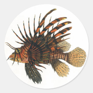 Adesivo Redondo Vintage Lionfish Fish, Marine Ocean Life Animal