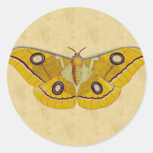 Adesivo Redondo Vintage Moth