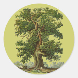 Adesivo Redondo Vintage Oak Tree Art Sticker