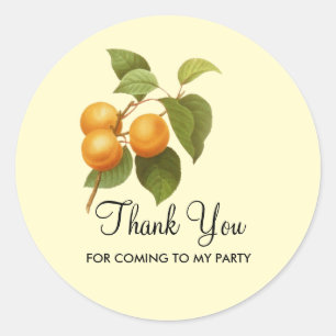 Adesivo Redondo Vintage Orange Apricots Watercolor Party
