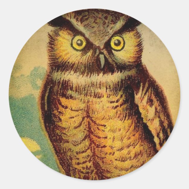 Adesivo Redondo Vintage Owl (Frente)