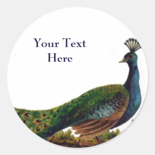 Adesivo Redondo Vintage Peacock Stickers