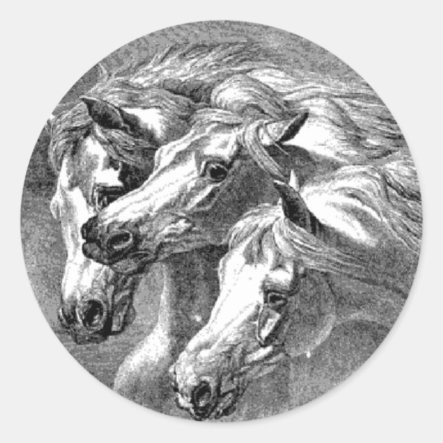 Adesivo Redondo Vintage Pharoah Horse Illustration Sticker (Frente)