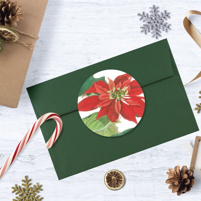 Adesivo Redondo Vintage Poinsettia Botânica (Criador carregado)