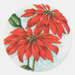 Adesivo Redondo Vintage poinsettia, vinheta de natal
