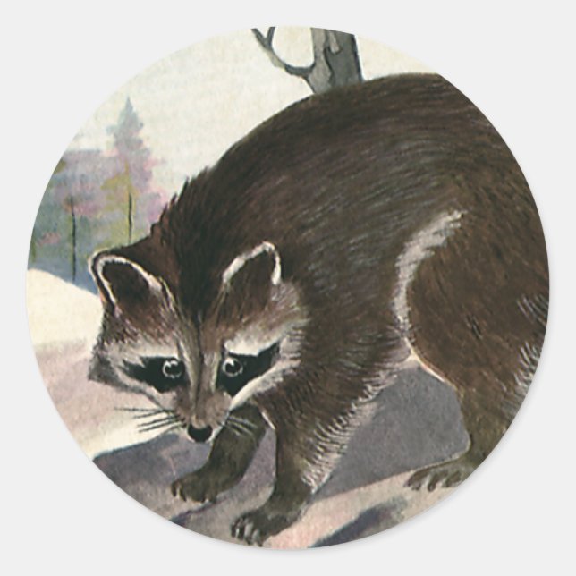 Adesivo Redondo Vintage Raccoon, Criaturas Florestais Selvagens (Frente)