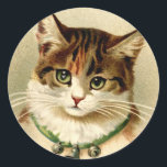 Adesivo Redondo Vintage Retro Christmas Cat Com Colarinho De Célul<br><div class="desc">Esta é uma fotografia Vintage muito fofa de um gatinho querido. Ela tem olhos verdes tão bonito e eu adoro seu colar de sino!</div>