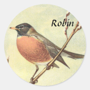 Adesivo Redondo Vintage Robin Stickers