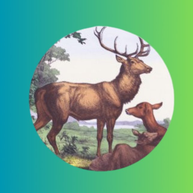 Adesivo Redondo Vintage Round Sticker (Criador carregado)