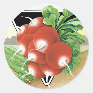 Adesivo Redondo Vintage Seed Packet Label Art, Rabanetes De Escarl
