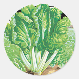 Adesivo Redondo Vintage Seed Packet Label Art, Suíços Chard Vegggi
