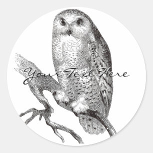 Adesivo Redondo Vintage Snowy Owl Stickers