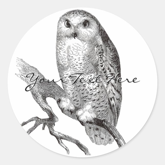 Adesivo Redondo Vintage Snowy Owl Stickers (Frente)