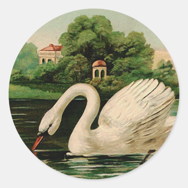 Adesivo Redondo Vintage Swan no lago (Frente)