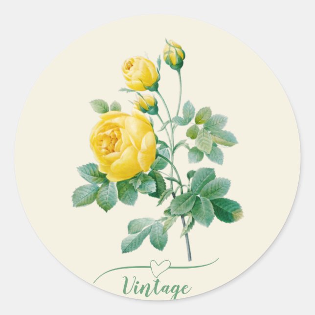 Adesivo Redondo Vintage Yellow Rose Fine art (Frente)