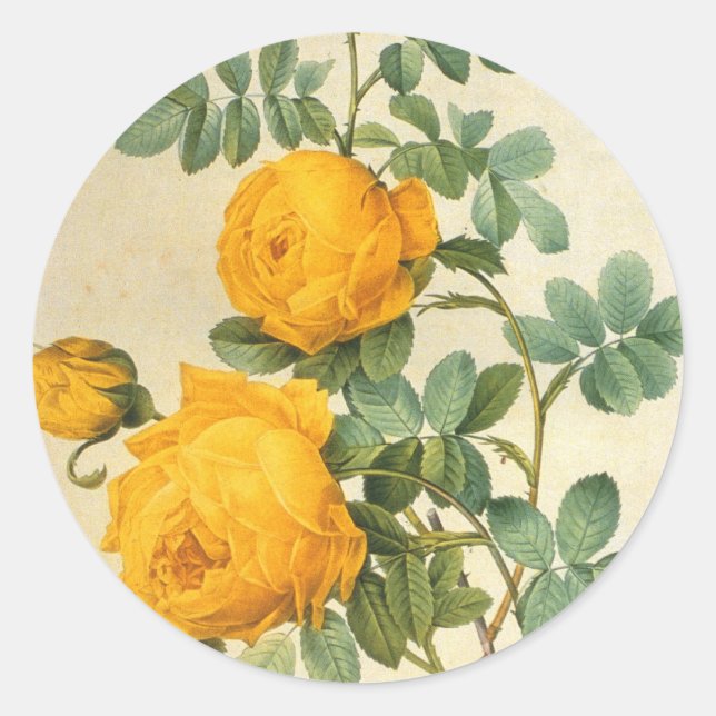 Adesivo Redondo Vintage Yellow Rose Sticker (Frente)