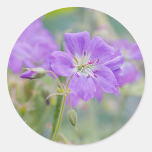 Adesivo Redondo Violet Geranium Wildflower Dreamy Photo