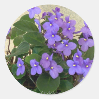 Adesivo Redondo Violetas azuis