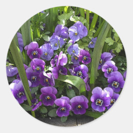 Adesivo Redondo Violetas Roxas