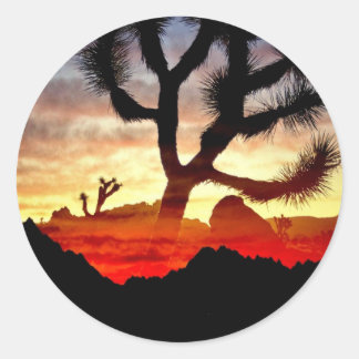 Adesivo Redondo visão do cacto