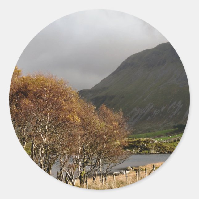 ADESIVO REDONDO VISÕES DAS PAREDES (Frente)