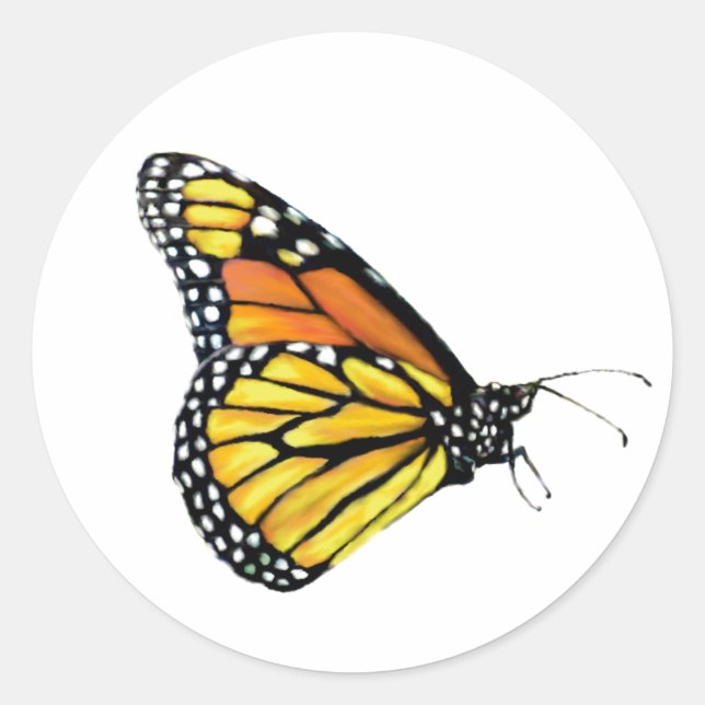 Adesivo Redondo Vista lateral dos Stickers Monarcas (Frente)