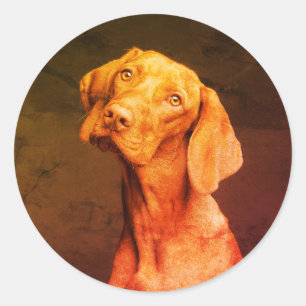 Adesivo Redondo Vizsla
