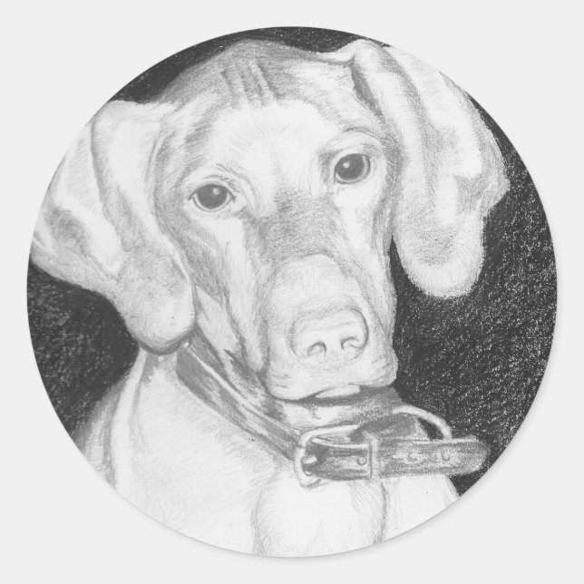 Adesivo Redondo Vizsla Stickers (Frente)
