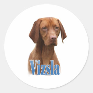 Adesivo Redondo Vizsla; Vizsla Dog Breed; Vizsla dog; Vizsla Breed