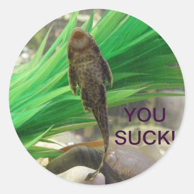 Adesivo Redondo Você Chupa o Sticker!! (Frente)