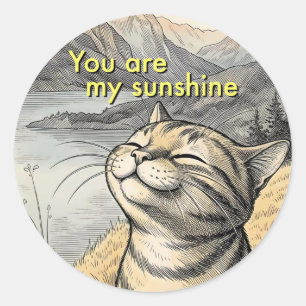 Adesivo Redondo Você É Meu Sol Gato Feliz Envelope, Pacote